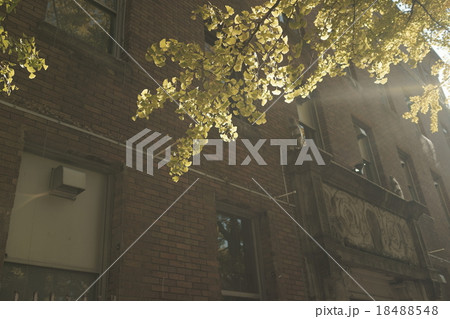 街の朝日 街の朝日 18488548