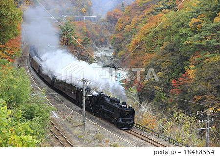 紅葉の上越線ＳＬ 18488554