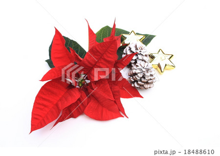 メリークリスマス 18488610