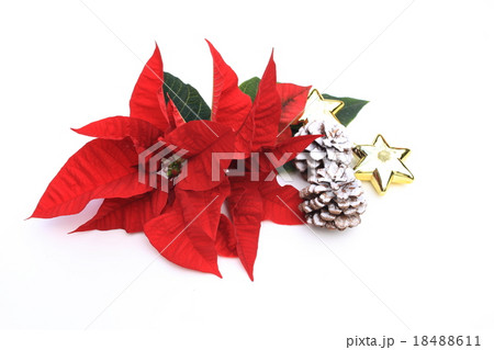 メリークリスマス 18488611