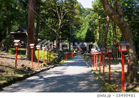 日吉大社 18490481