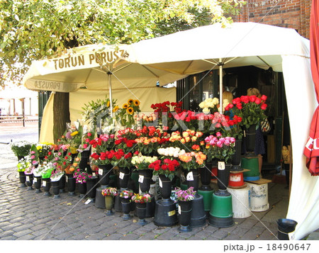 ポーランド　トルンの花屋 18490647
