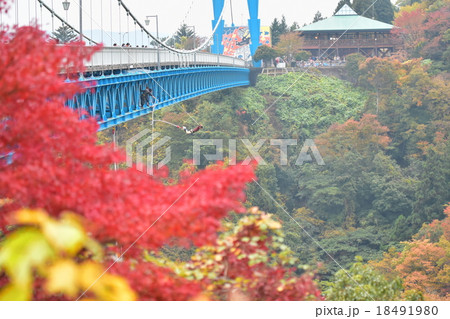 バンジージャンプと紅葉 18491980