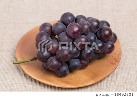ブドウ　ニューピオーネ 18492201