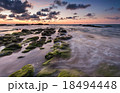 cloudy sunset over moss on the rock at Borneo 18494448
