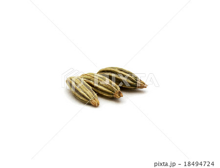 Fennel seeds isolated Fennel seeds isolated 18494724