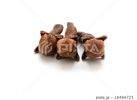 Dry cloves close up  18494725