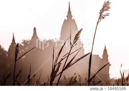 Buddhist Temples of Bagan at sunrise. Myanmar 18495109