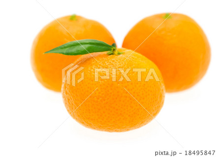 みかん三個 18495847