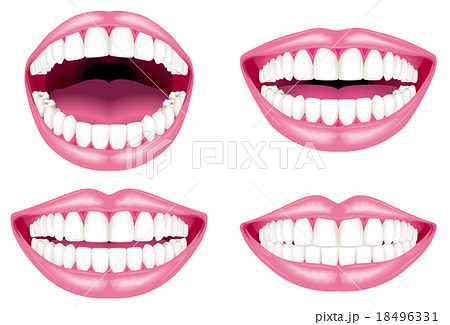 白い歯と唇のイラスト素材
