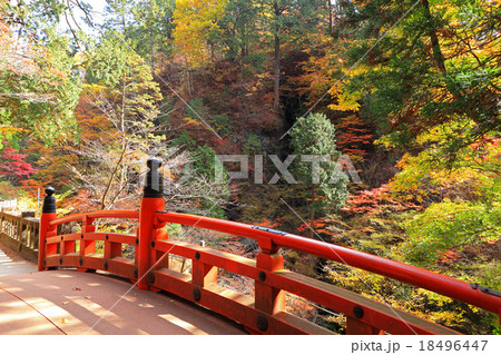 榛名神社参道の紅葉の写真素材