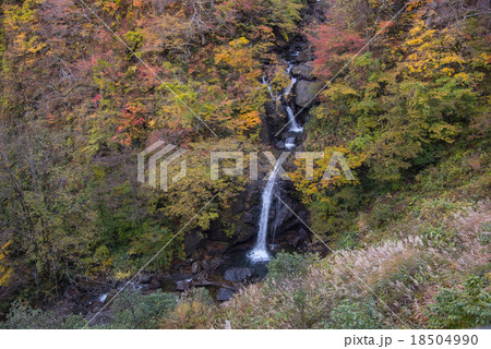 福井県　紅葉のサコサガ滝 18504990