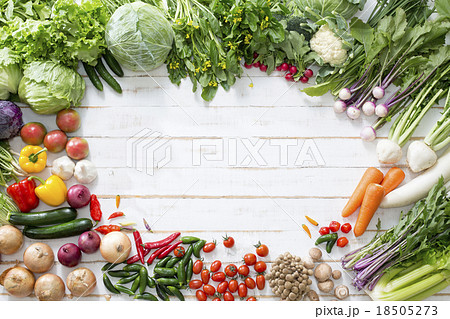 野菜集合 18505273