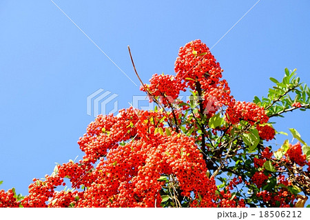 青空に映える景色 18506212