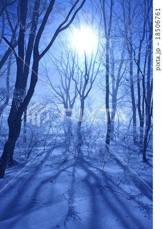 霧氷と太陽 霧氷と太陽 18506761