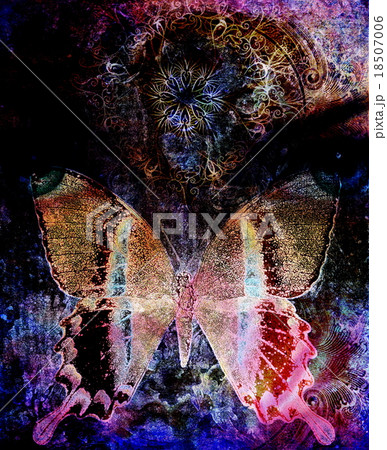 illustration of a butterfly and woman eye , mixed illustration of a butterfly and woman eye , mixed 18507006