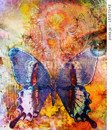 illustration of a butterfly and woman eye , mixed illustration of a butterfly and woman eye , mixed 18507048