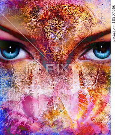 illustration of a butterfly and woman eye , mixed illustration of a butterfly and woman eye , mixed 18507066