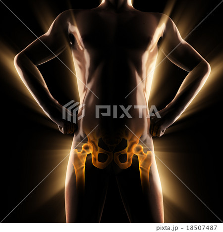 human bones radiography scan image 18507487