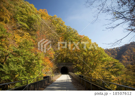 秋の道 18507612