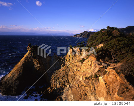 伊豆黄金崎 伊豆黄金崎 18509044