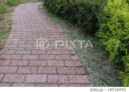 公園の遊歩道 18510450