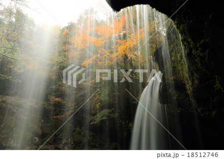 秋の鍋ヶ滝公園　⑥　水のカーテンと紅葉 18512746