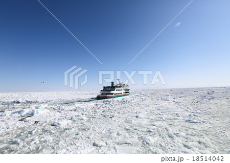流氷と観光砕氷船オーロラ号 18514042