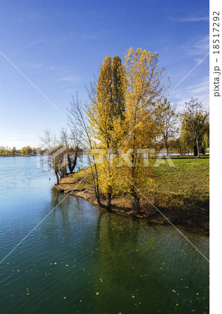 Trees along Lake in the autumn Trees along Lake in the autumn 18517292