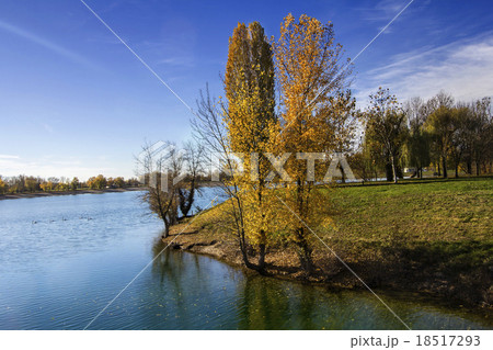 Trees along Lake in the autumn Trees along Lake in the autumn 18517293