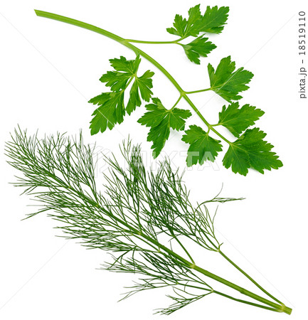 イノンド の写真・イラスト素材 1 ページ目