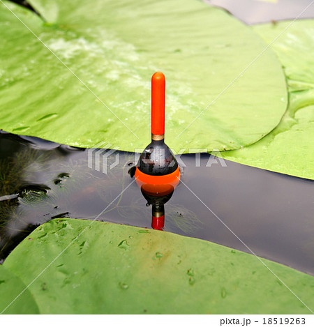 Fishing float 18519263