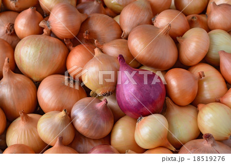 Red and yellow onions 18519276
