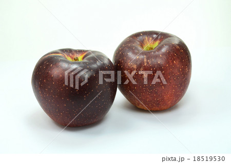 リンゴ（秋映） 18519530