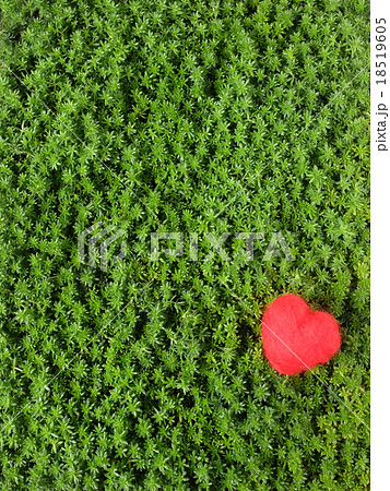 バレンタイン 18519605