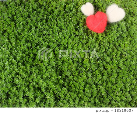 バレンタイン 18519607