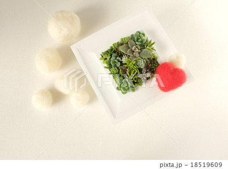 バレンタイン 18519609