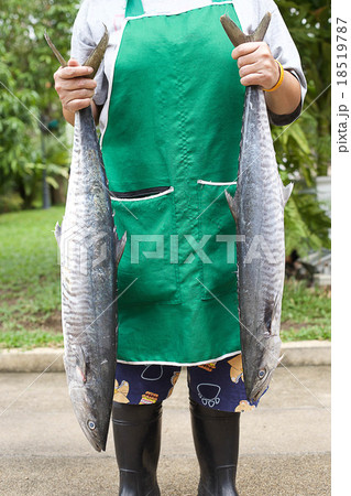 hand holding Fresh king mackerel fish 18519787