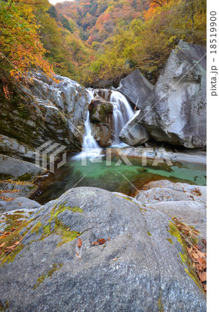 秋の尾白川渓谷 18519900