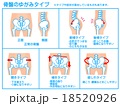 骨盤のゆがみ 18520926