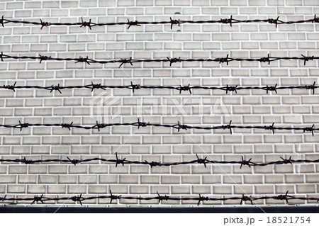 barb wire barb wire 18521754