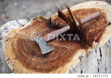 small axe cut big tree(business concept "powerful") small axe cut big tree(business concept "powerful") 18521755