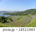 大浦の棚田 18521983