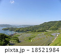 大浦の棚田 18521984