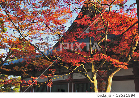 毛越寺の紅葉 18521994