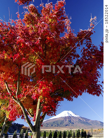 初霜の朝 18522014