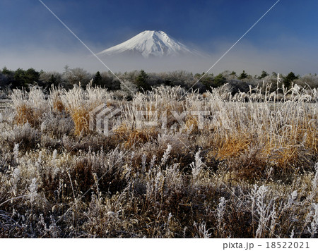 霜の朝 霜の朝 18522021