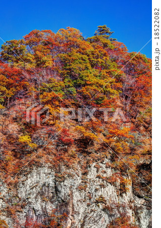 錦秋の吾妻峡　大蓬莱 18522082