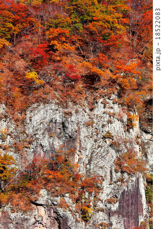 錦秋の吾妻峡　大蓬莱 18522083