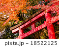 紅葉　鳥居　 red  leaves　torii 18522125